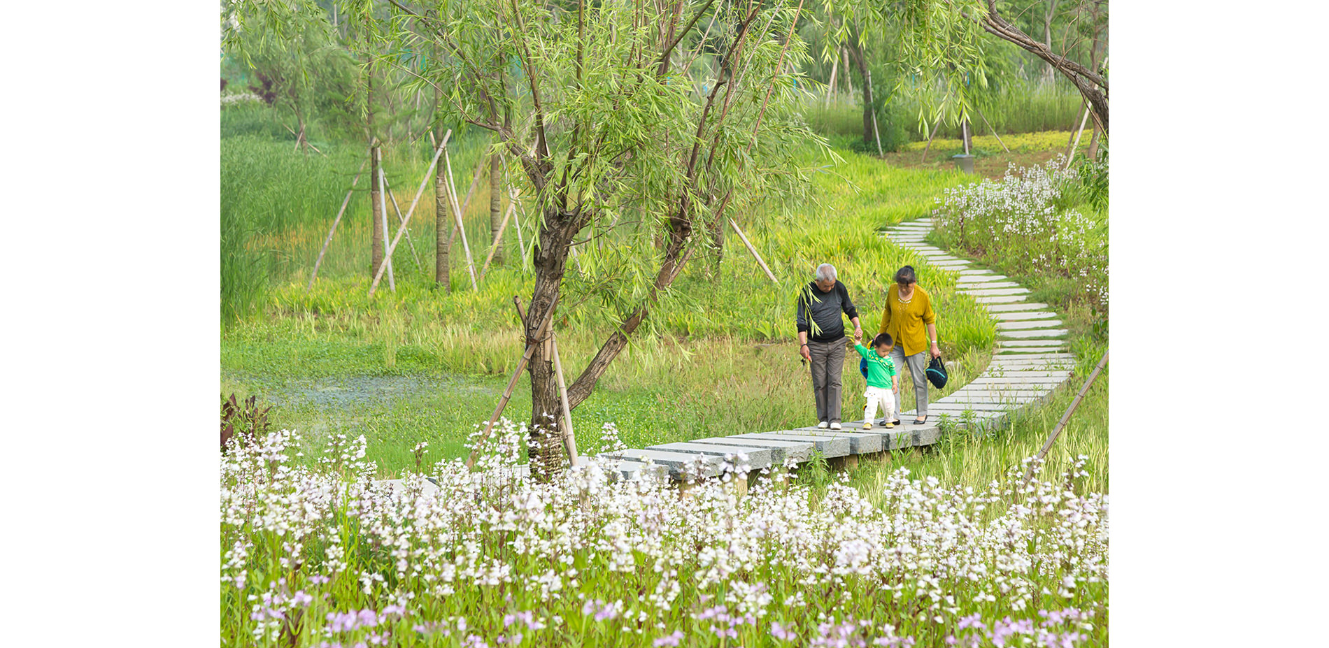 Stepping Stone Passage