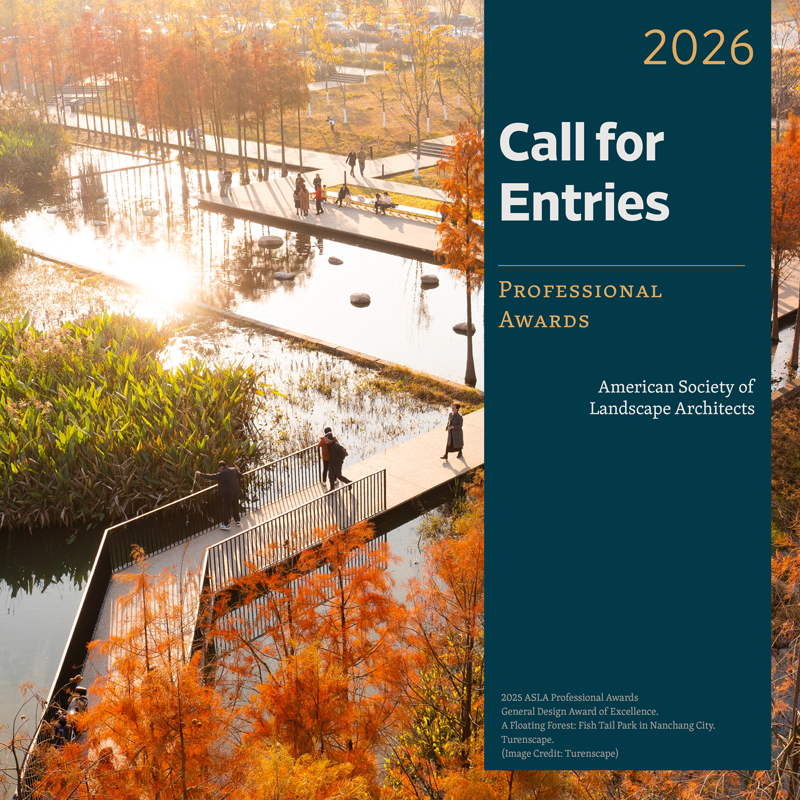 2026 Call for Entries - Professional Awards