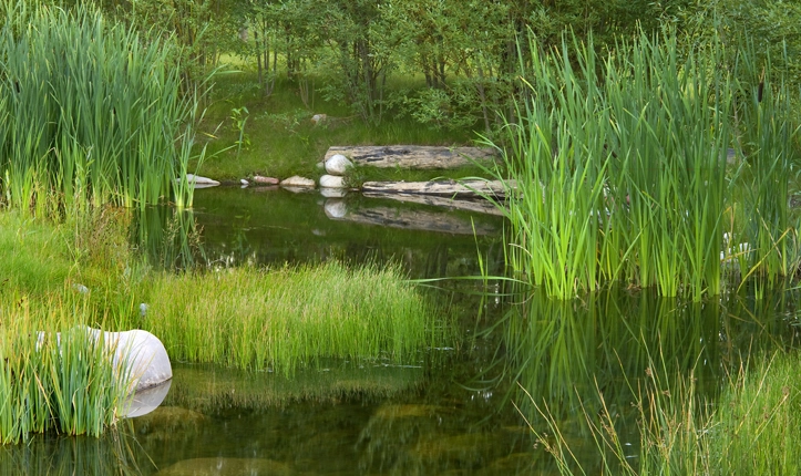 ASLA Honor Award Recipient, Transformative Water by Design Workshop, Inc. (Photo: D. A. Horchner / Design Workshop, Inc.)