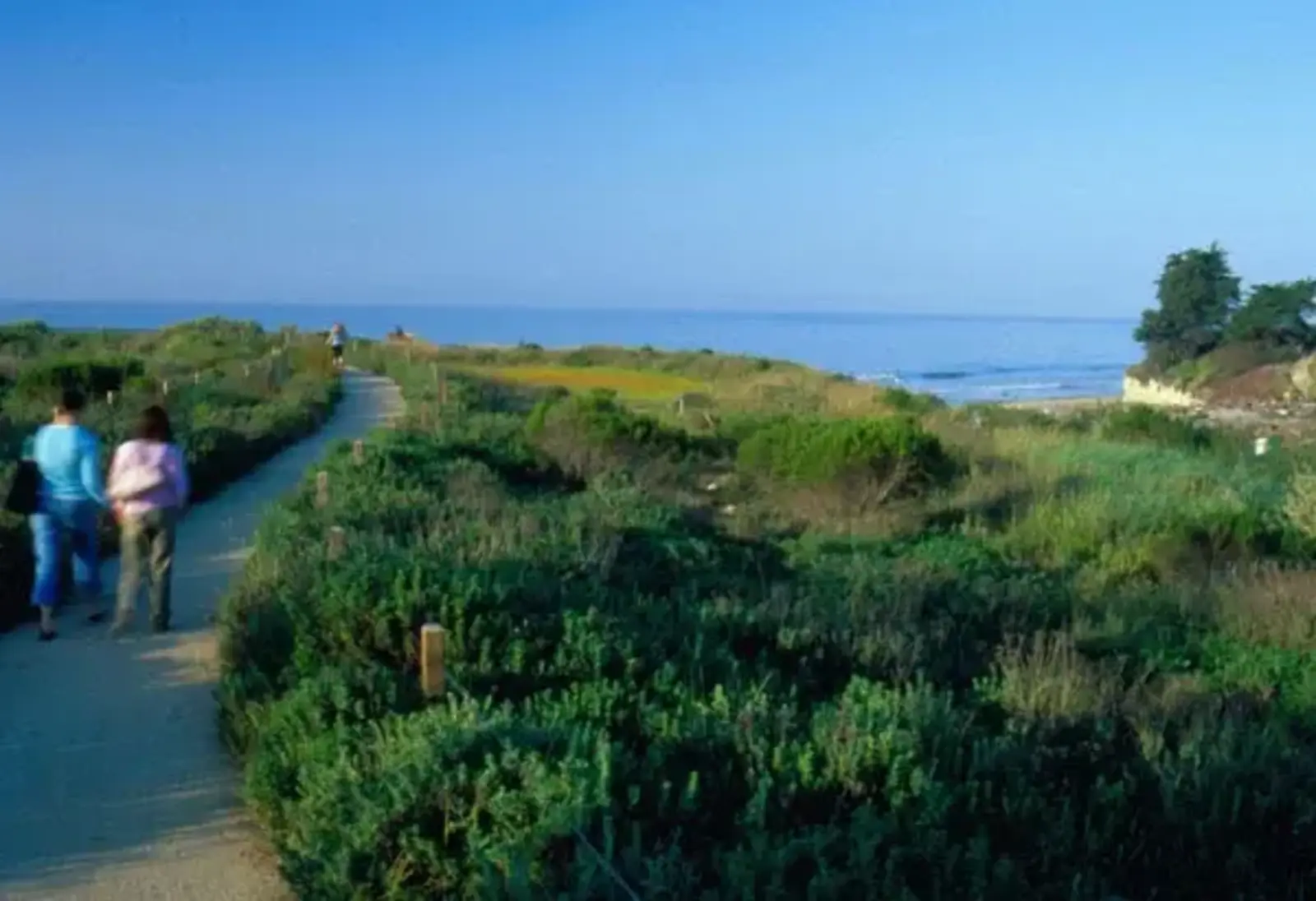 ASLA 2008 General Design Honor Award. Lagoon Park: Living at the Edge of Wilderness, Santa Barbara, California. Van Atta Associates, Inc., Santa Barbara, California