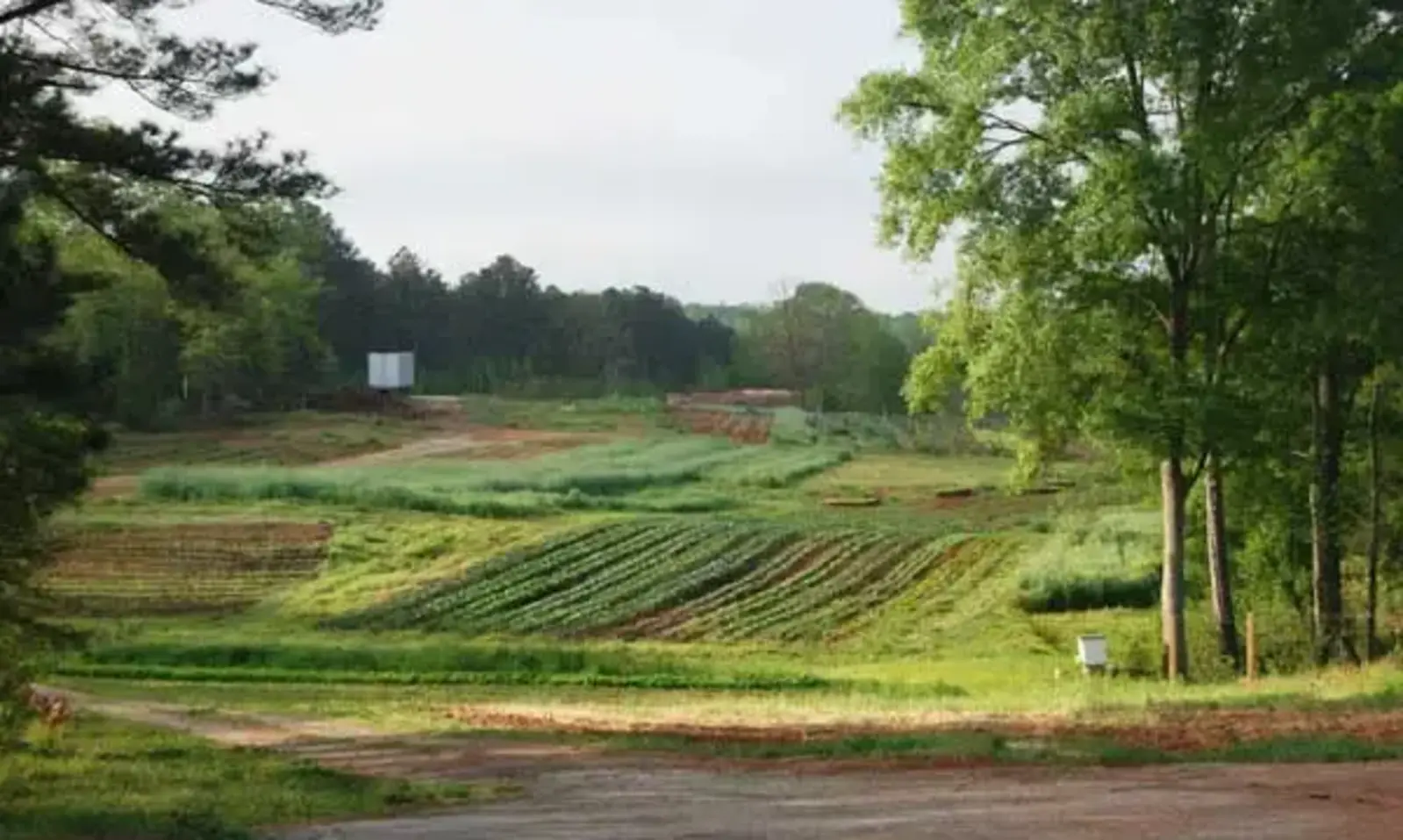 Serenbe organic farm / Serenbe