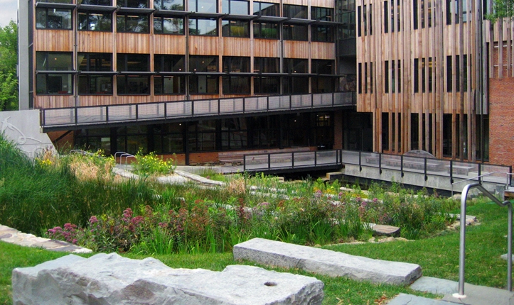 Andropogon Associates