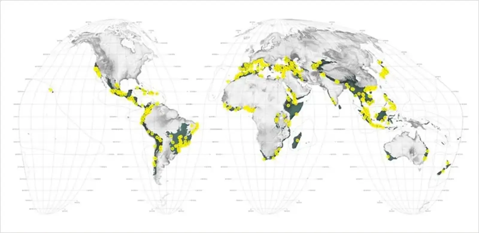Hotspot Cities: Each yellow dot represents a city growing in direct conflict with endangered species. Image by Chieh Huang. Courtesy Richard Weller
