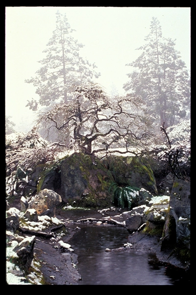 The Mukai Farm (HALS WA-1) short form historical report is the first Historic American Landscapes Survey documentation for the state of Washington. image: Library of Congress, Prints and Photographs Division, HALS WA-1