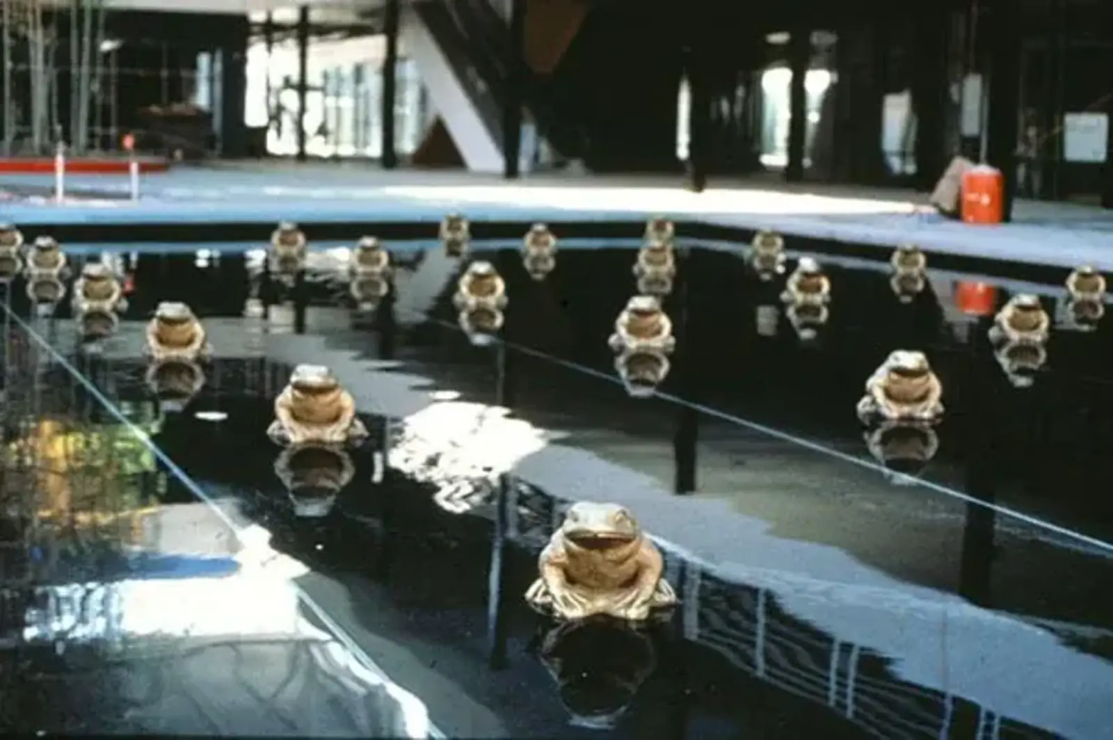 Rio Shopping Center, U.S.A. / Image credit: Martha Schwartz Partners