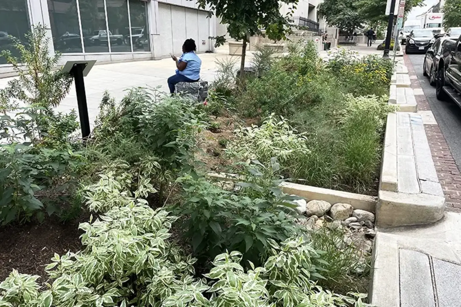 Stair-stepping bioretention cells 