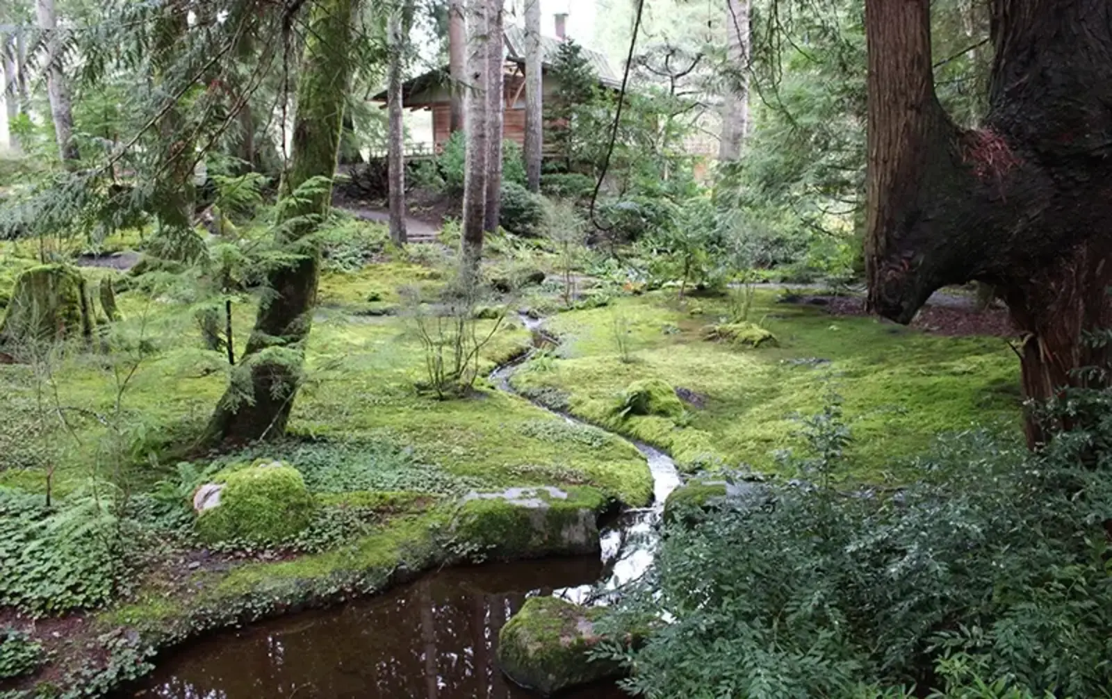 Bloedel Reserve / Heritage Landscapes, LLC, Preservation Landscape Architects and Planners