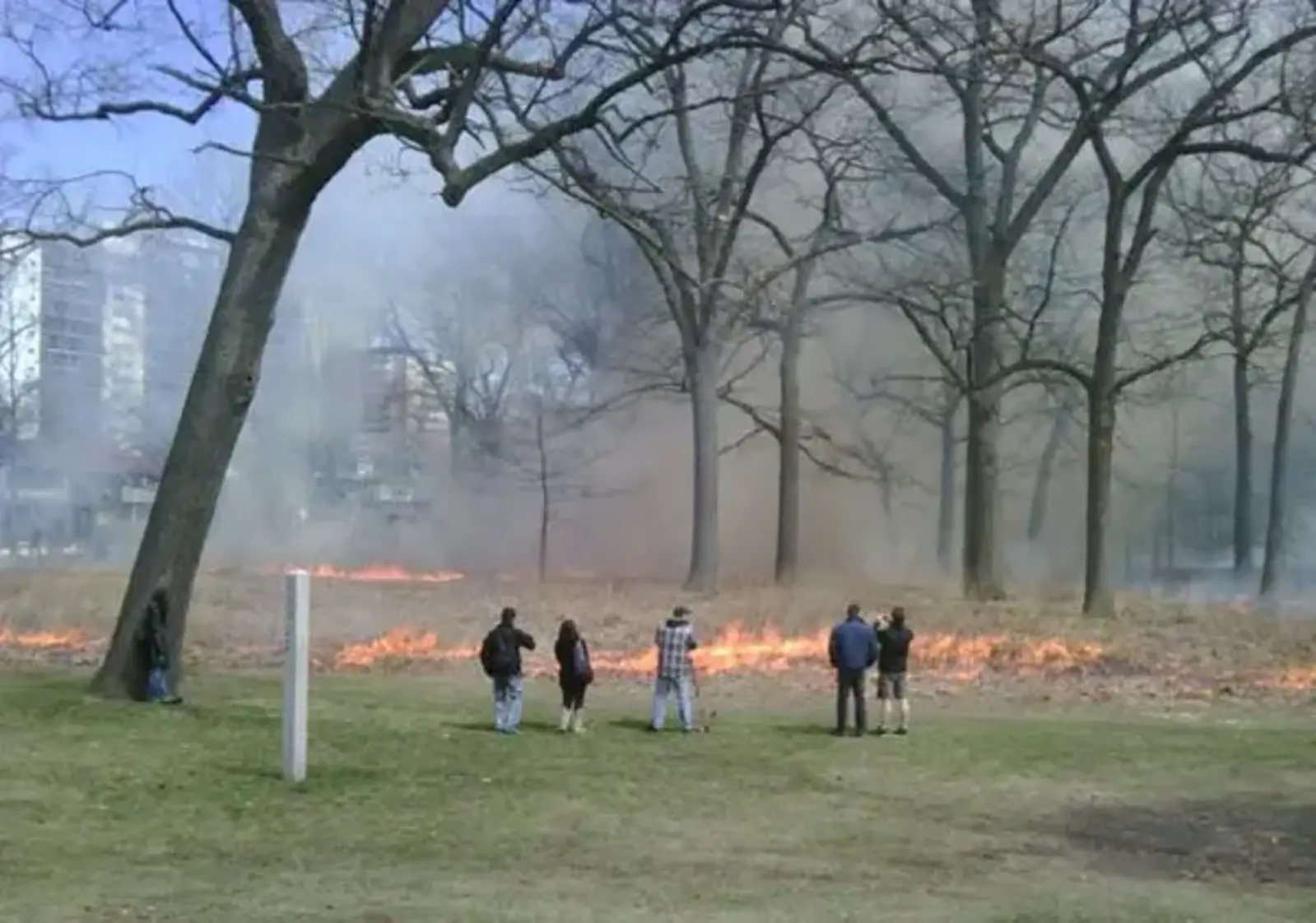 Toronto High Park Controlled Burn / Image credit: Torontoist