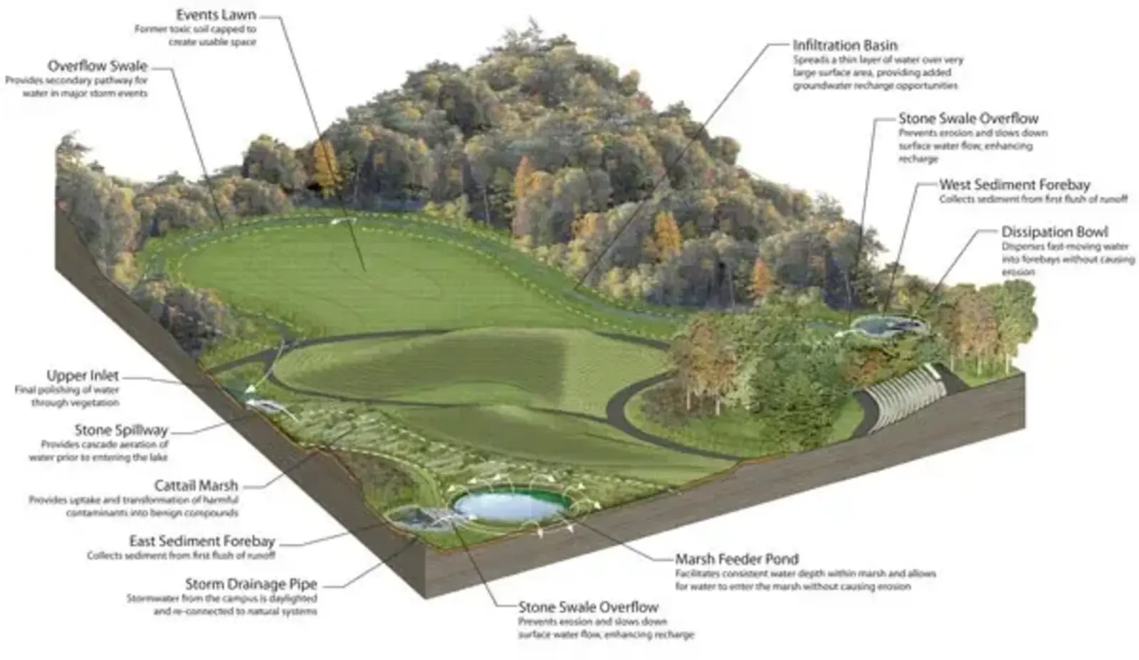 Image credit: Michael Van Valkenburgh Associates