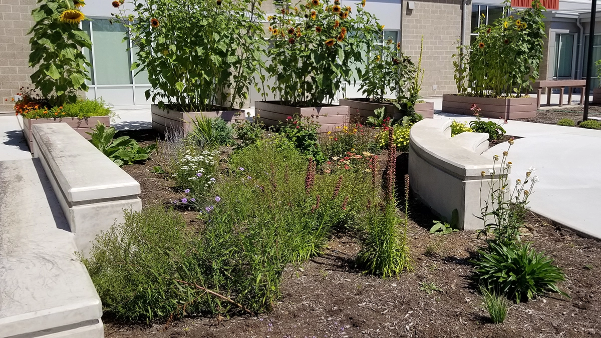 Butterfly learning garden at Ogden Elementary School in Vancouver, Washington / nature+play designs