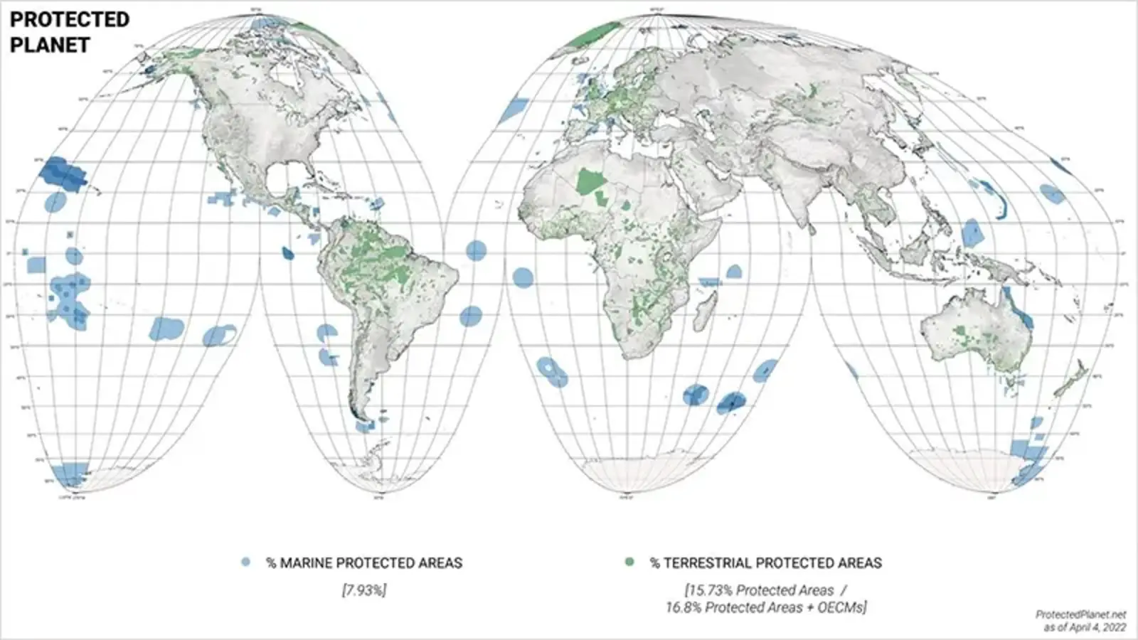 The World’s current protected areas. Image by Rob Levinthal, courtesy Richard Weller
