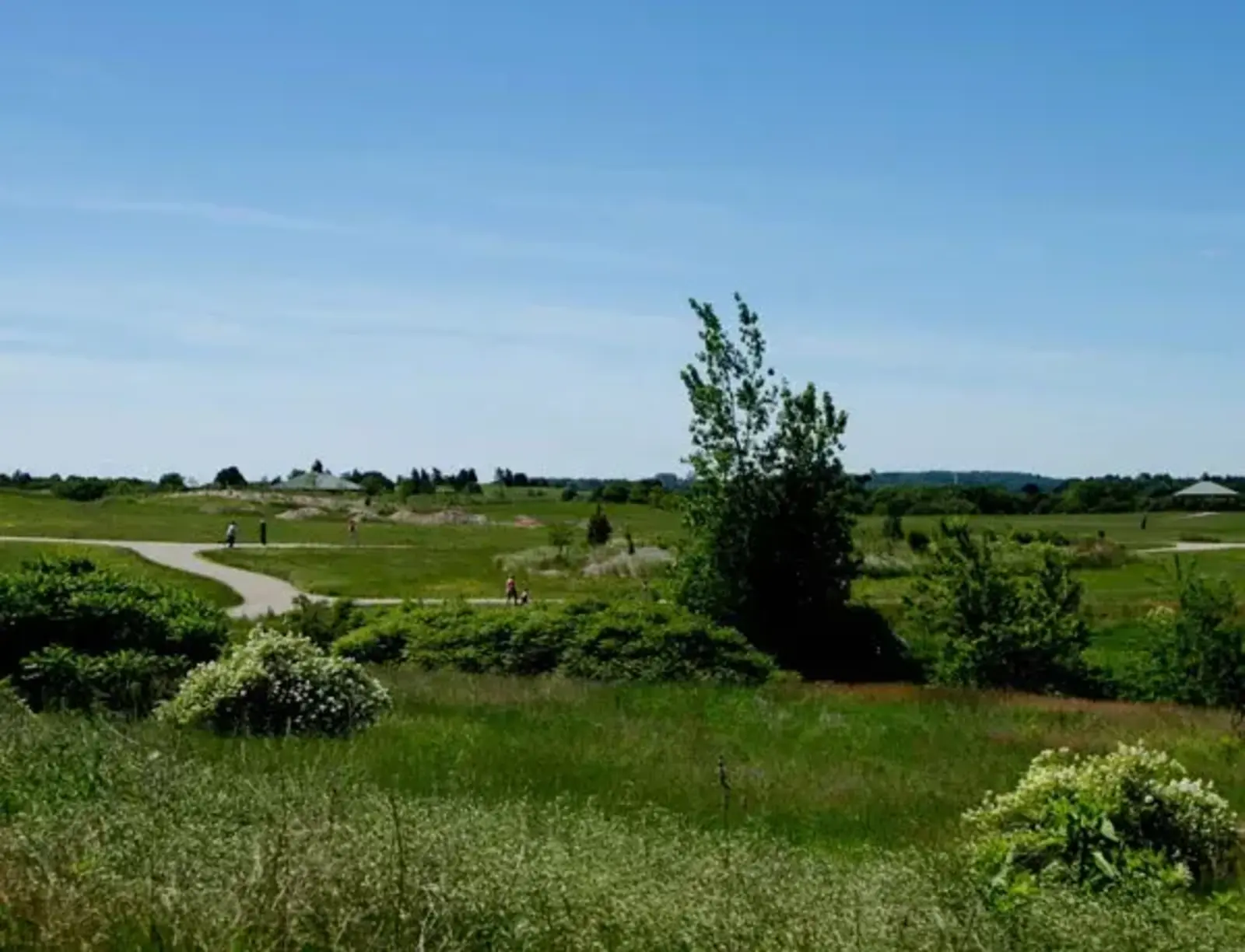 Pope John Paul Park II / Kathryn O'Kane