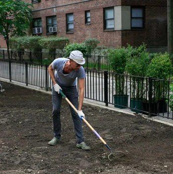 Image credit: Oto Gillen