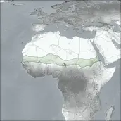 The Great Green Wall. Drawing by Oliver Atwood. Courtesy Richard Weller