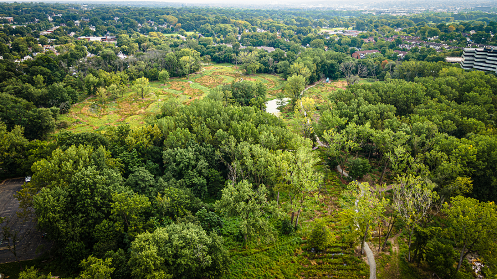 Sand seepage wetlands at Teaneck Creek Park provide stormwater attenuation and water quality filtration while enhancing local biodiversity. Biohabitats. Bergen County Dept. Of Parks. Teaneck 