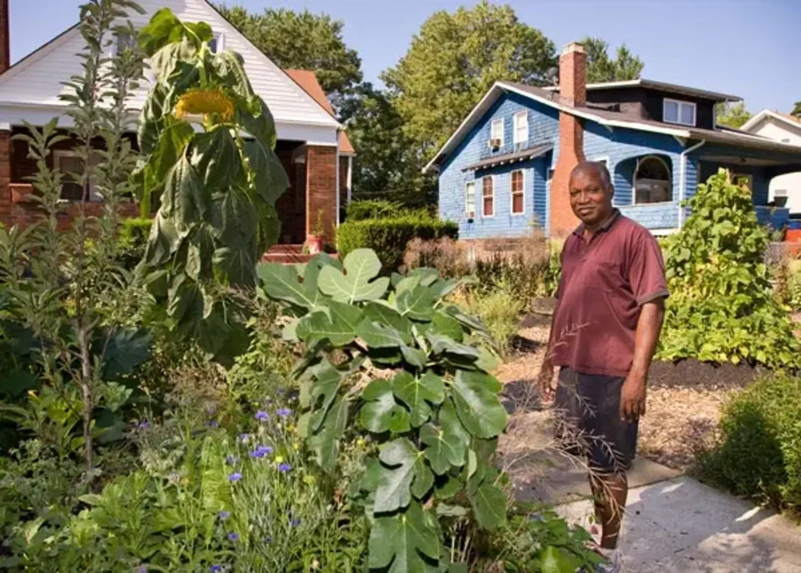 Regional Prototype Garden #6, Baltimore, Maryland. Commissioned by Contemporary Museum, Baltimore / Leslie Furlong