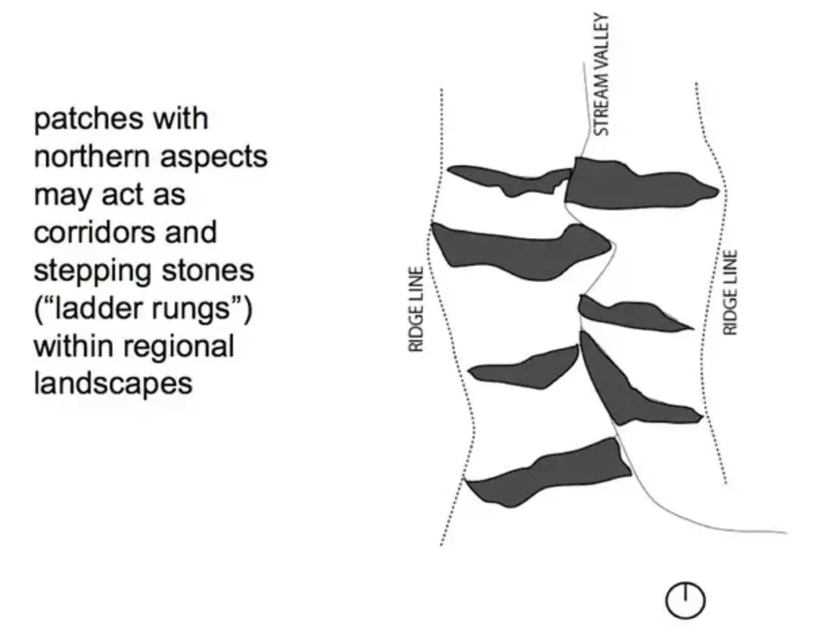 This concept is one that I developed to help students understand the special functional role that cooler slopes will probably