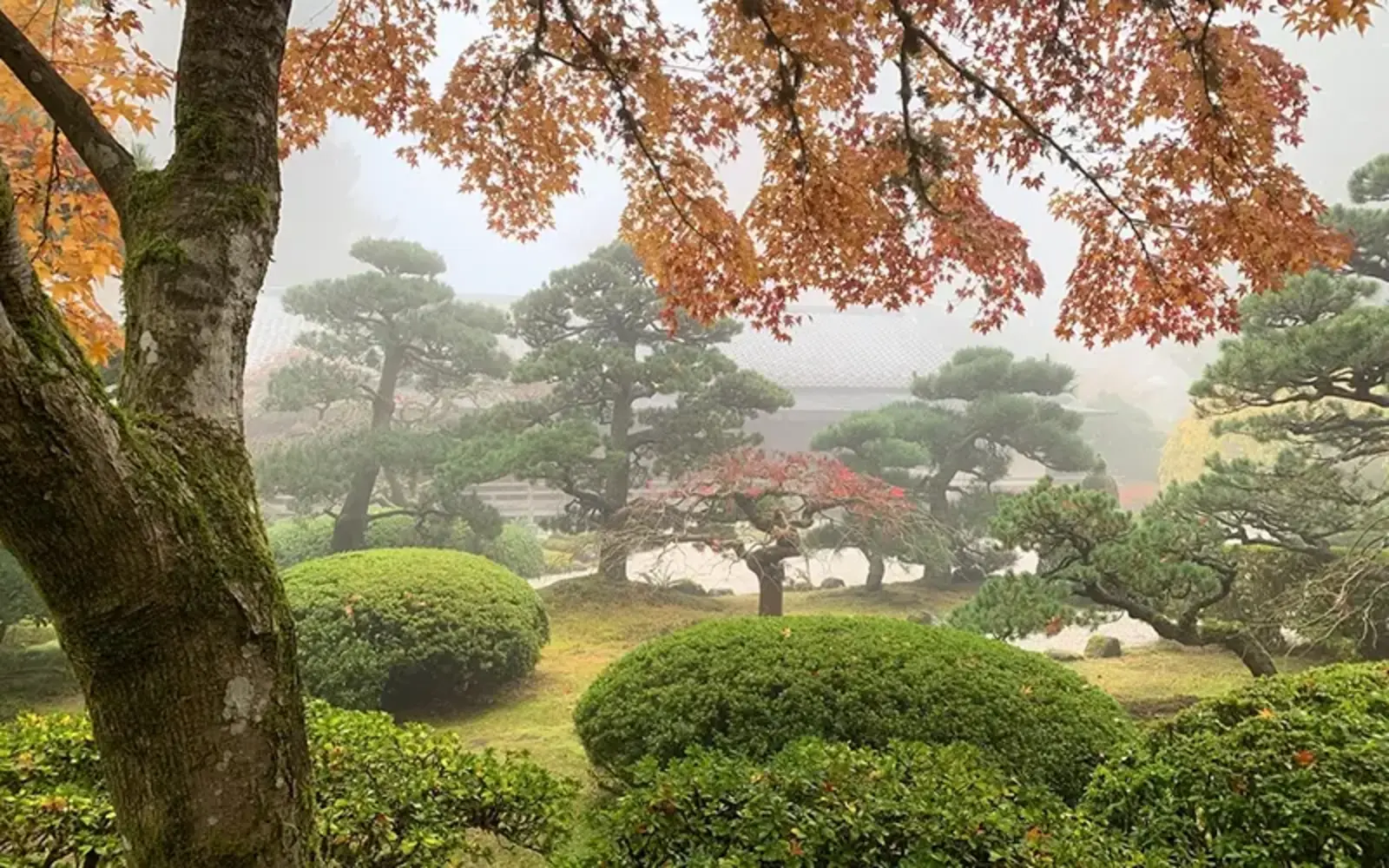 Flat garden / Courtesy of Portland Japanese Garden