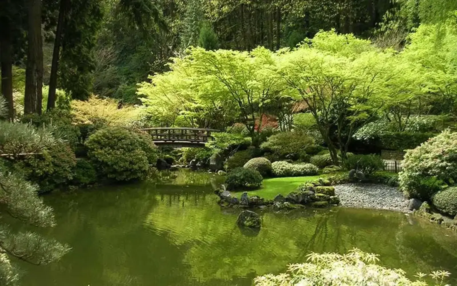 Strolling pond garden at Portland Japanese Garden / Courtesy of Portland Japanese Garden