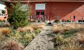 ASLA Honor Award Recipient, Mount Tabor Middle School Rain Garden by Kevin Robert Perry, ASLA (Photo: Kevin Robert Perry)