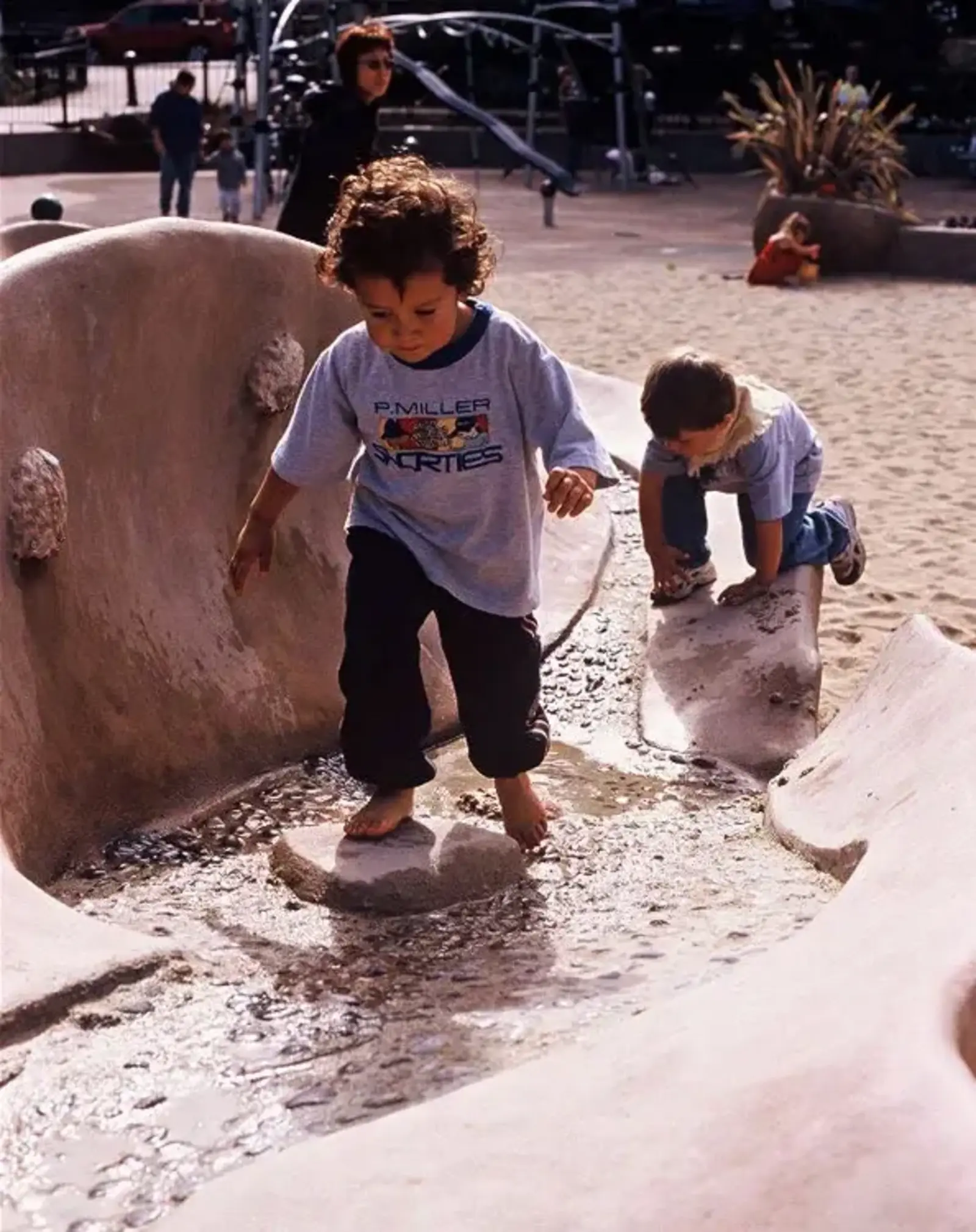 Carducci and Associates, Inc