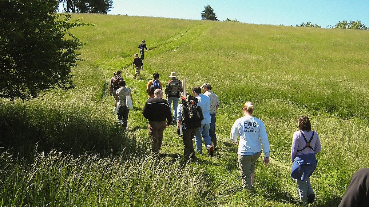 Oakencroft Farm in Central Virginia, Nelson Byrd Woltz Landscape Architects.