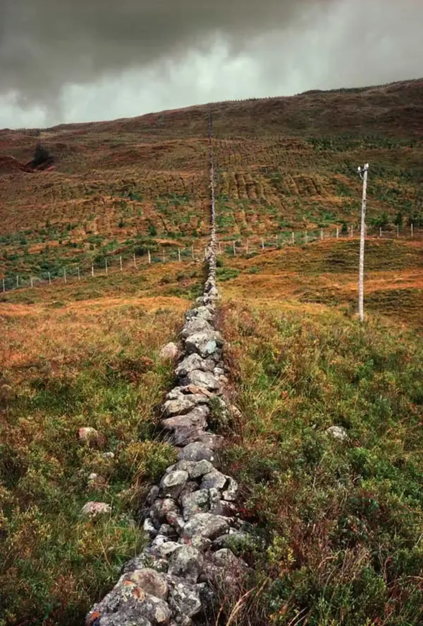 Glen Loy, Scotland / Anne Whiston Spirn