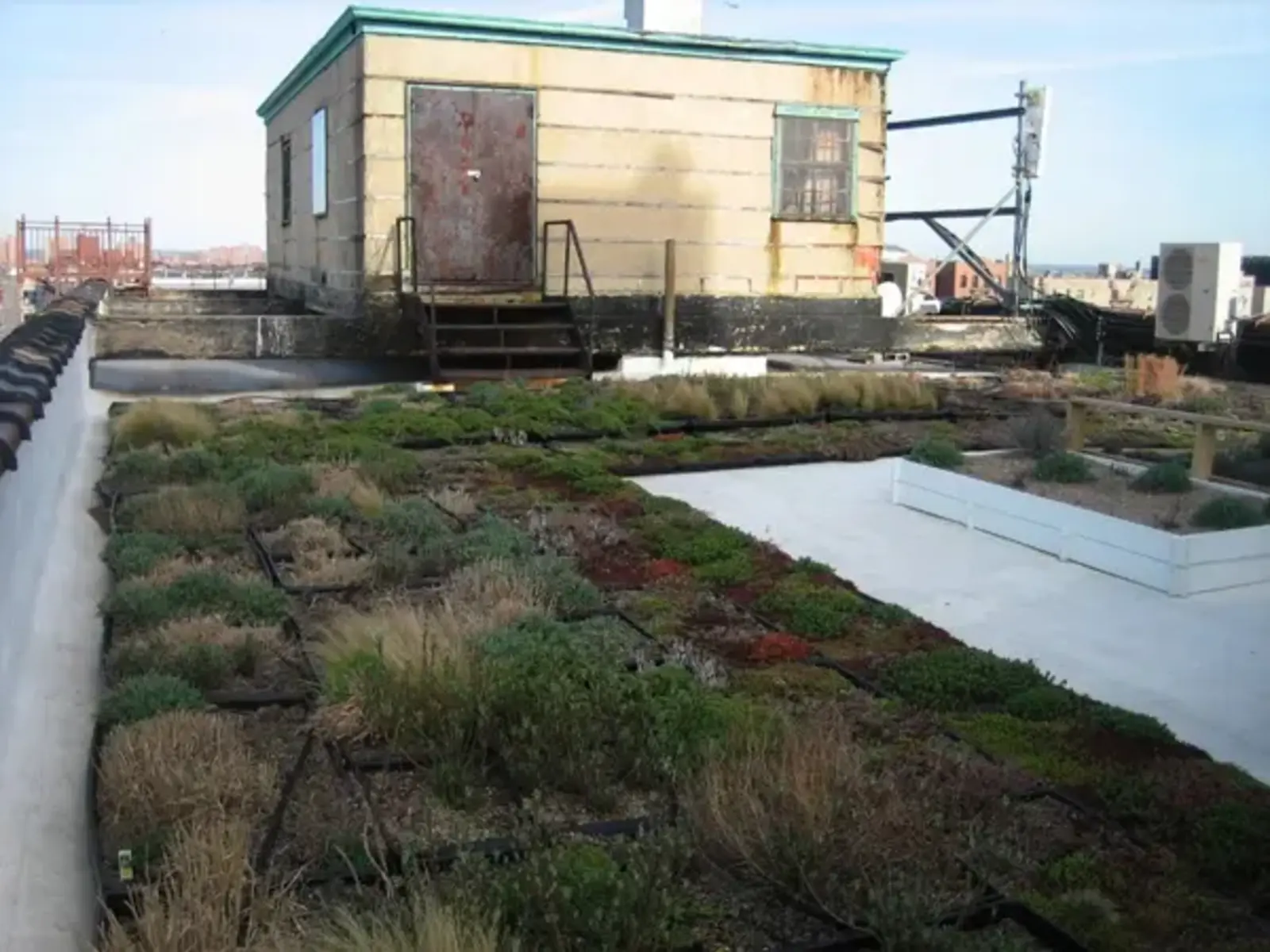 Sustainable South Bronx green roof / ABC Pastor blog