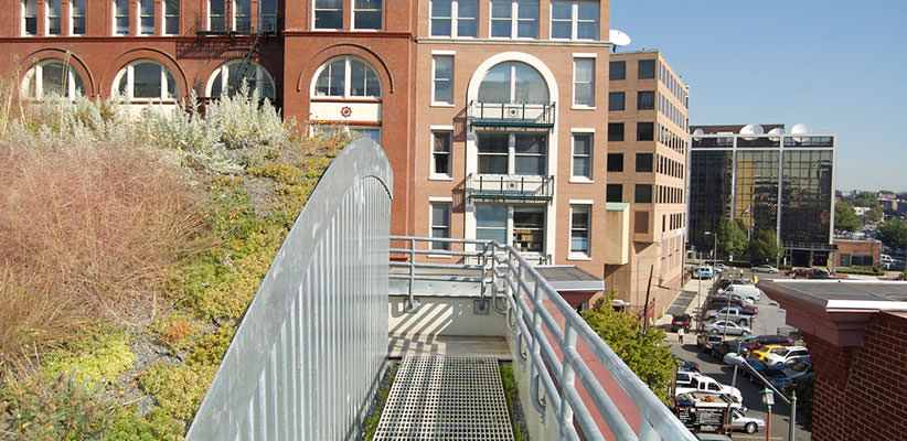 Green roof with catwalk in foreground and other buildings visible in background