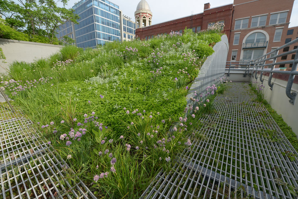 ASLA Green Roof photo