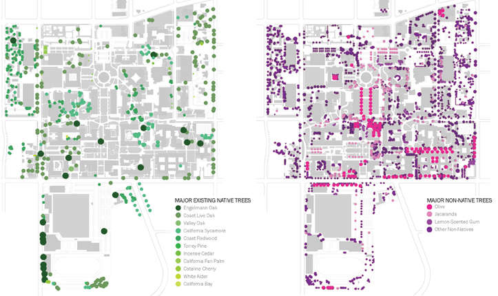 California Institute of Technology Master Plan