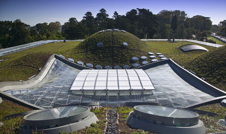 California Academy of Sciences 