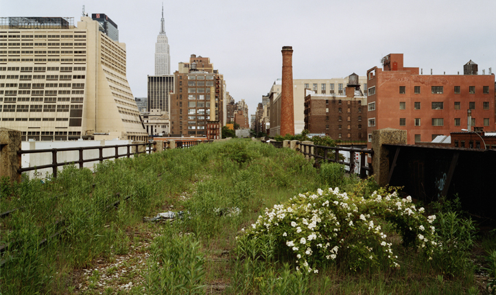 High Line Park