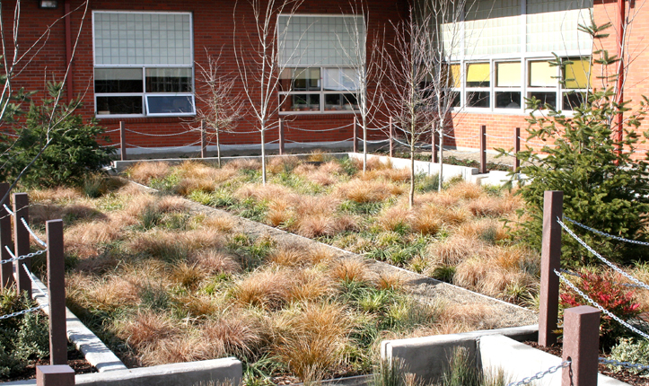 Mount Tabor Middle School Rain Garden